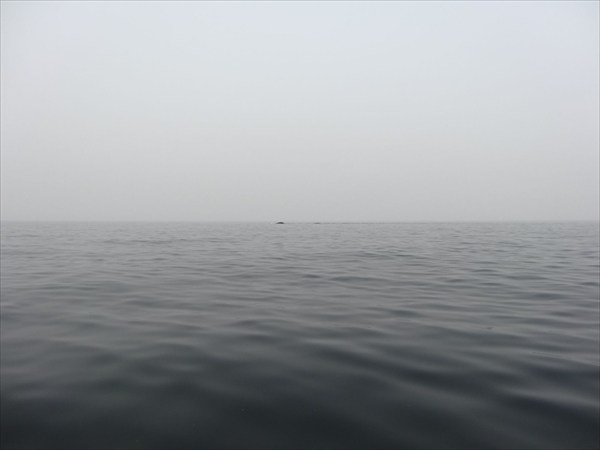 Охотское Море 146